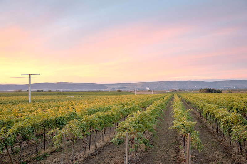 Washington Wine Country